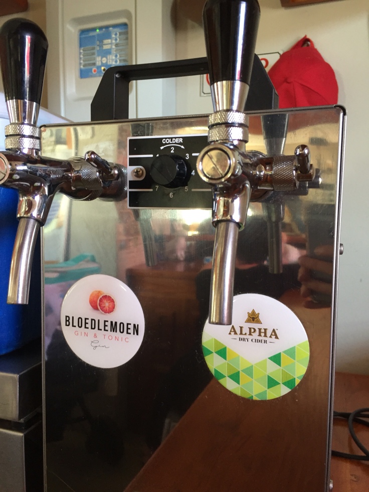 gin and cider on tap